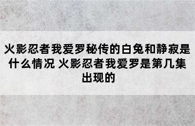 火影忍者我爱罗秘传的白兔和静寂是什么情况 火影忍者我爱罗是第几集出现的